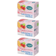 Viropa infuso fragola & arancia bio bustine filtro 3x1 st