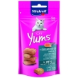 vitakraft gatto snack cat yums omega-3 salmone 40gr