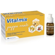Vitalmix vital mix pappa reale energia per l'organismo tonico con vitamina b 10 flaconcini 10 ml