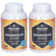 Vitamaze citrato di magnesio capsule 2x156,6 g