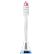 Vitis sonic s10/s20 ricambio testina gingival dentaid 2 pz spazz