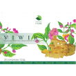 Viwir 75 compresse