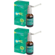 Vocalen spray 30 ml 2x30 ml orale