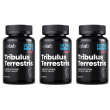 Vplab tribulus terrestris 3x90 pz capsule