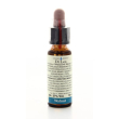 Walnut 10ml di leo