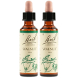 Walnut bach orig 2x20 ml gocce orali
