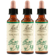 Walnut bach orig 3x20 ml gocce orali