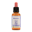 Walnut essenza 30ml
