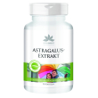 Warnke vitalstoffe - estratto di astragalo 90 pz capsule
