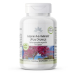 Warnke vitalstoffe - estratto di pau d'arco 90 pz capsule