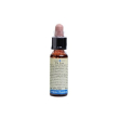 White chestnut 10ml di leo
