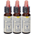 White chestnut original 3x10 ml