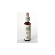 Wild oat bach orig 20ml