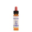 Wild oat essenza 10ml