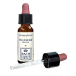 Wild rose original 10ml gocce
