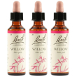 Willow bach orig 3x20 ml gocce orali