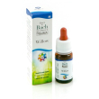 Willow gun gocce 10ml
