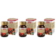 Winter guarana capsule 3x15,5 g