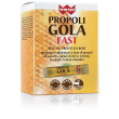 Winter propoli gola fast15 bustine