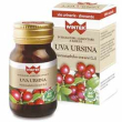 Winter uva ursina 30 capsule veg