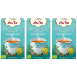 Yogi tea infuso sollievo e vigore gola bustine 3x32,3 g te
