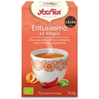 Yogi tea joie de vivre bio 17f
