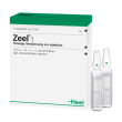 Zeel vete ev intramuscolo sc os 5f5ml