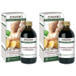 Zenzero estratto integrale 200 ml 2x200 ml soluzione orale