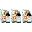 Zenzero estratto integrale 200 ml 3x200 ml soluzione orale