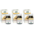 Zenzero estratto titolato 60 pastiglie 3x60 pz