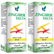 Zingiber delta soluzione idroalcolica 50 ml 2x50 ml gocce orali