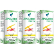 Zingiber delta soluzione idroalcolica 50 ml 3x50 ml gocce orali